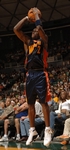 Photo 12 de Mickael Pietrus